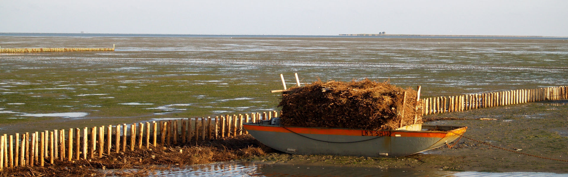 Schute mit Reisig beladen, um Küstenschutzmaßnahmen durchzufrühren
