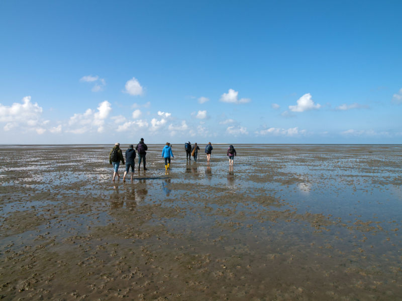 Wattwanderer gehen bei Ebbe durchs Watt zur Sandinsel Japsand